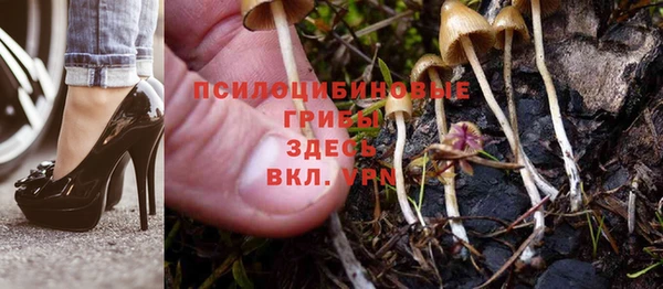 экстази Приозерск